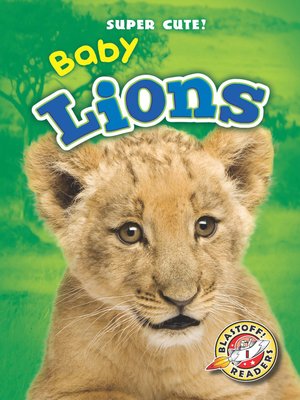 cover image of Baby Lions